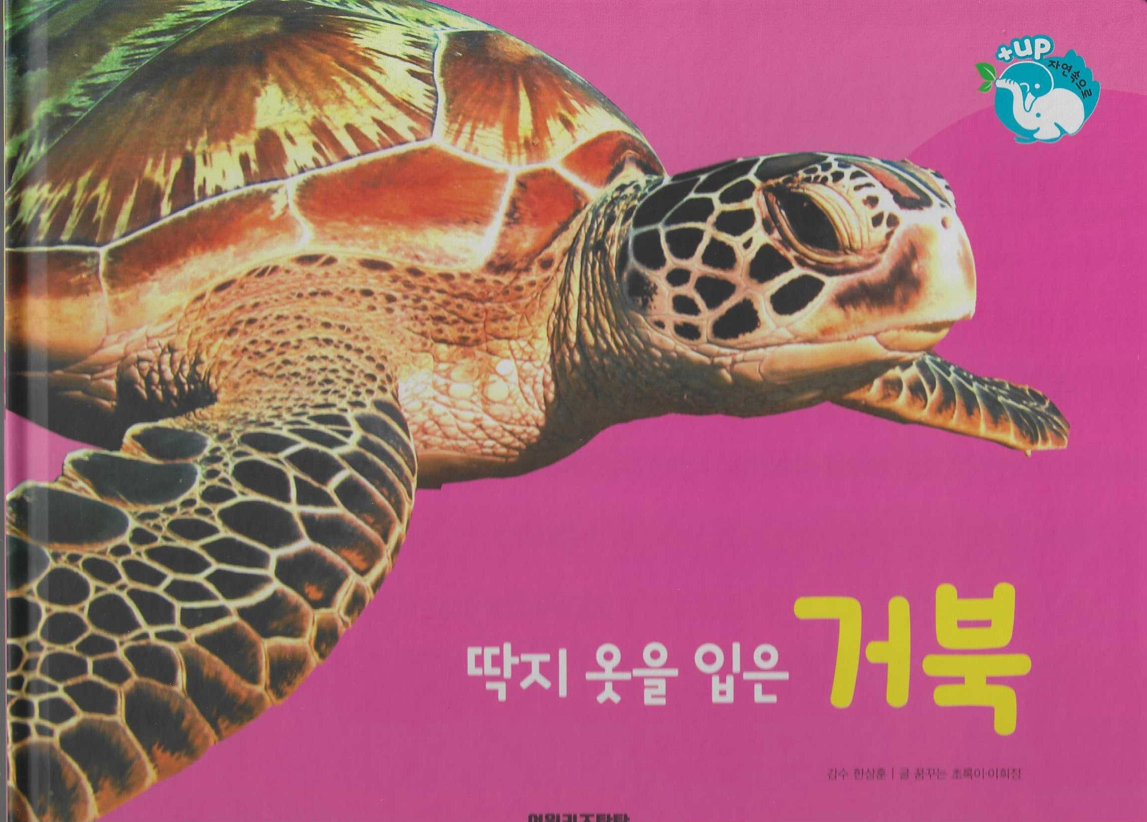 딱지 옷을 입은 거북(세이펜 적용)(+Up 자연속으로)