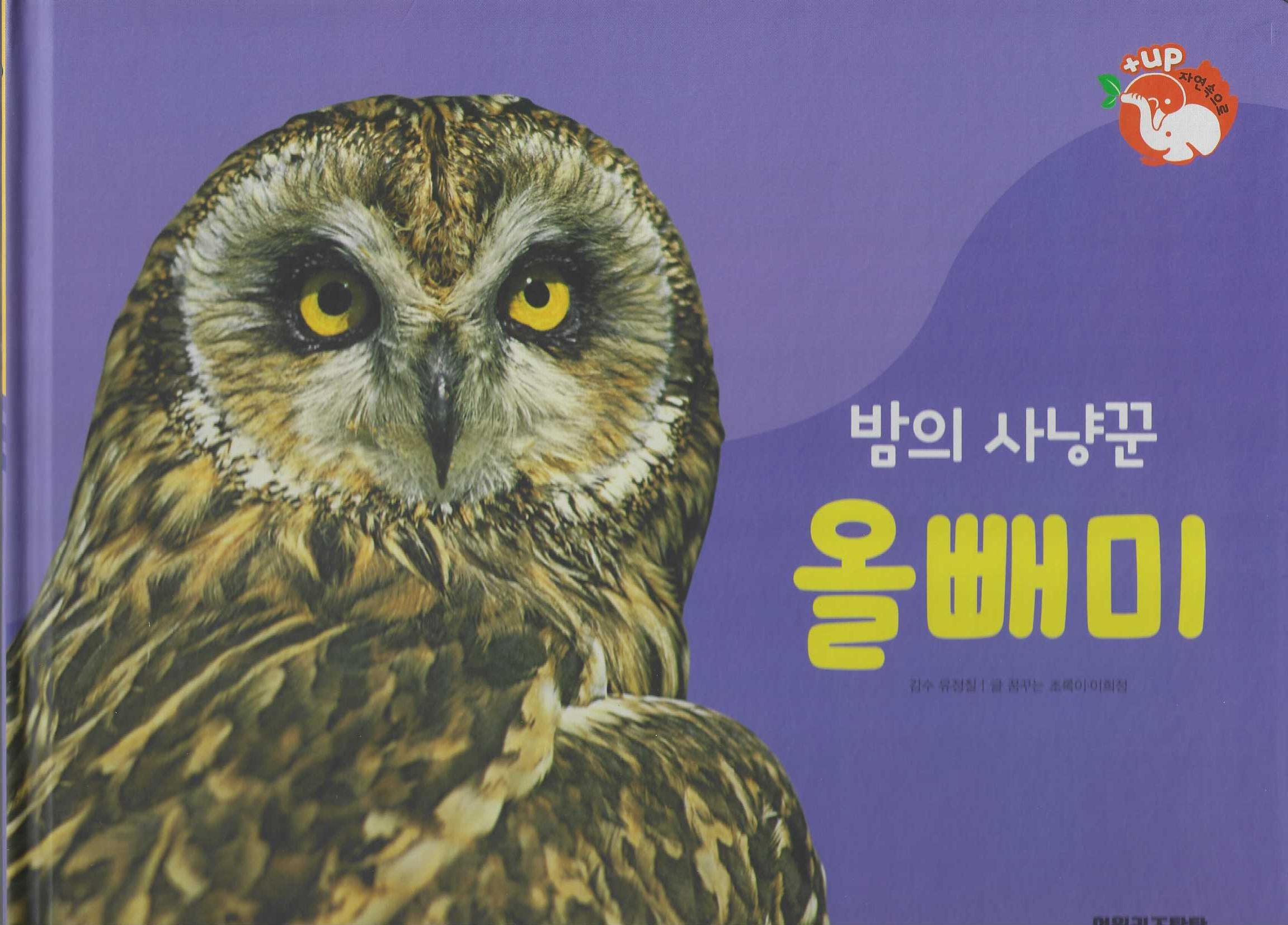 밤의 사냥꾼 올빼미(세이펜 적용)(+Up 자연속으로)