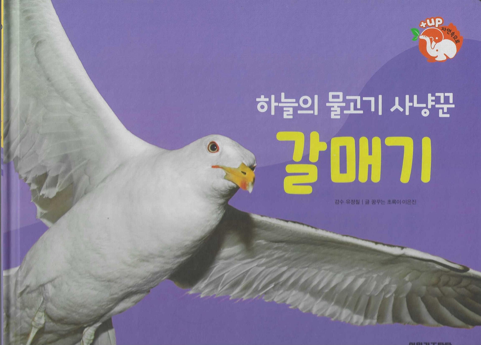 하늘의 물고기 사냥 갈매기(세이펜 적용)(+Up 자연속으로)