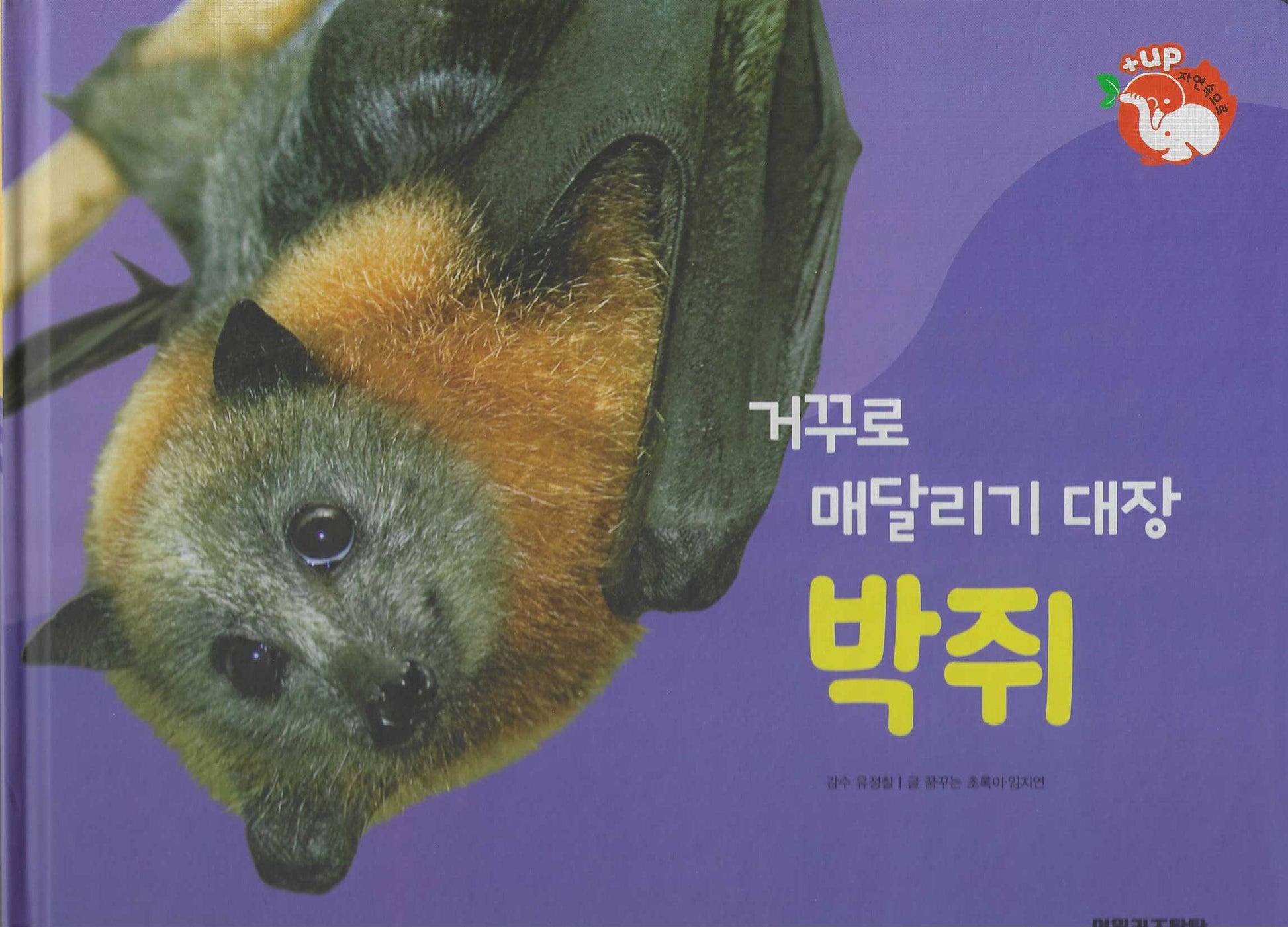 거꾸로 매달리기 대장 박쥐(세이펜 적용)(+Up 자연속으로)