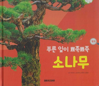 푸른 잎이 뾰족뾰족 소나무(세이펜 적용)(+Up 자연속으로)
