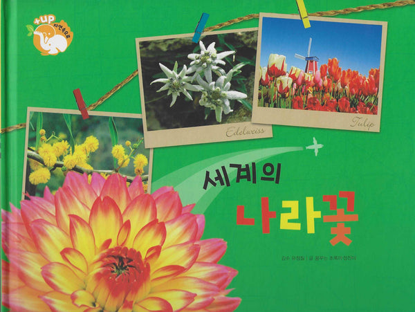 세계의 나라 꽃(세이펜 적용)(+Up 자연속으로)