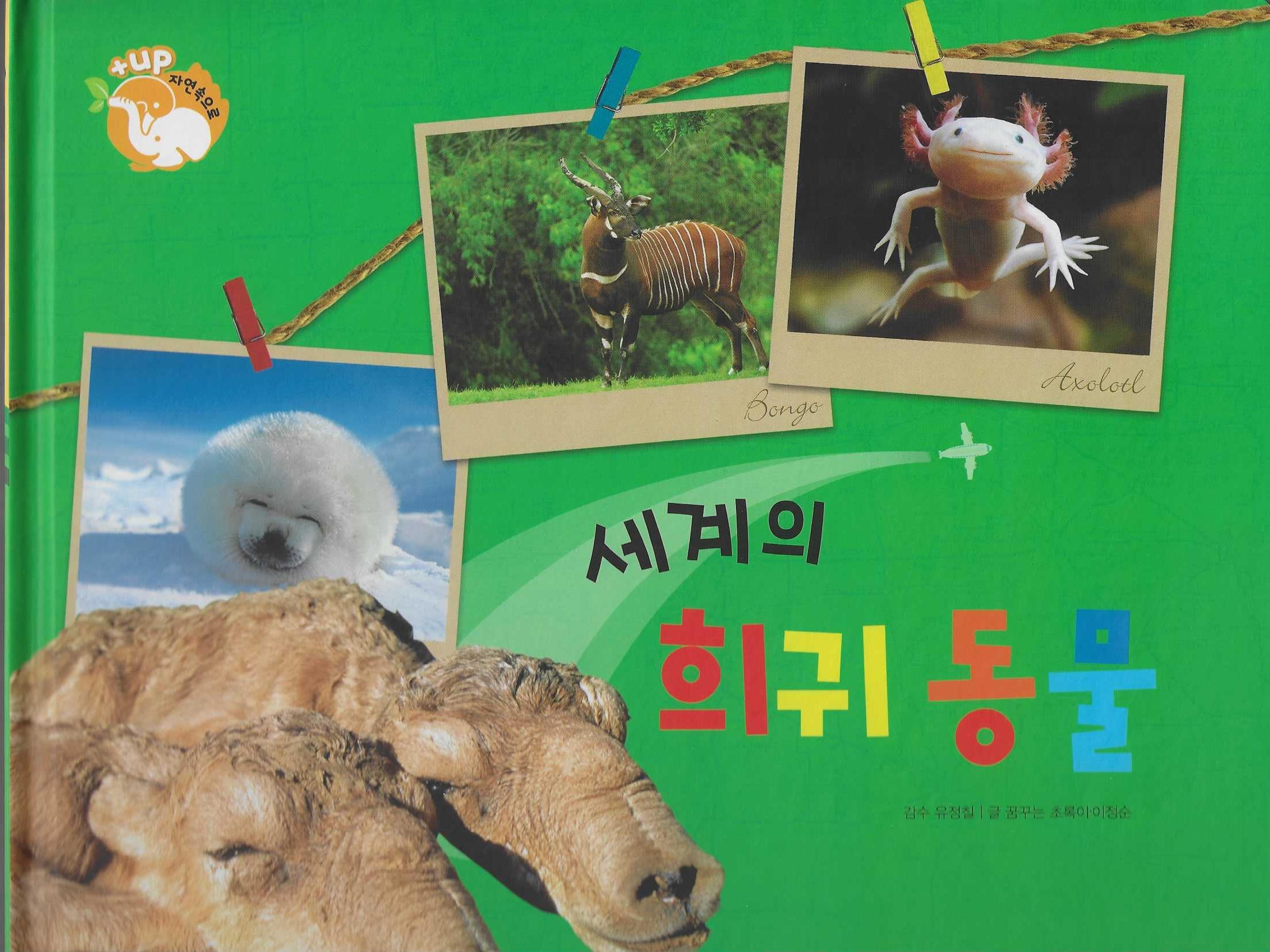 세계의 희귀 동물(세이펜 적용)(+Up 자연속으로)