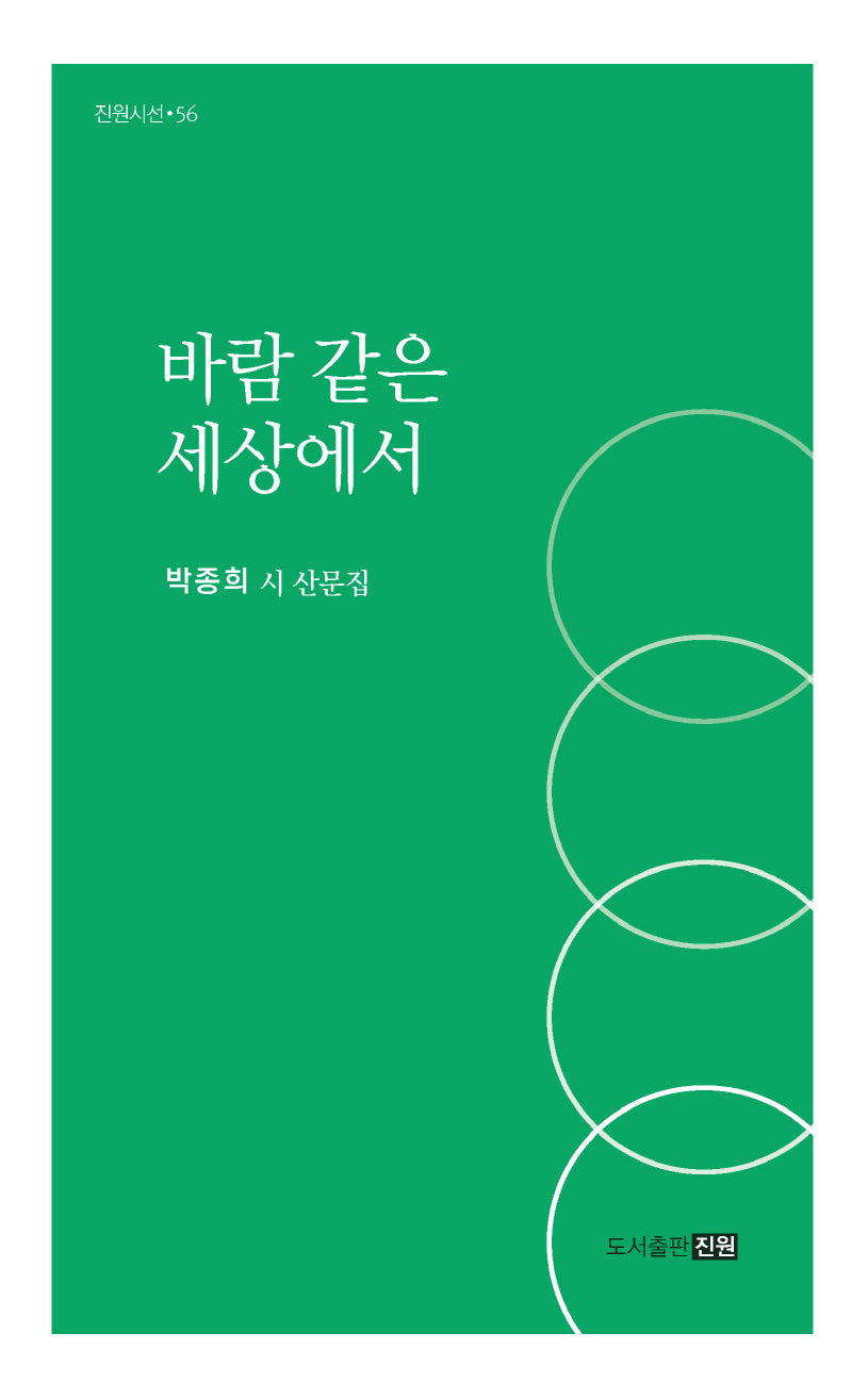 바람같은 세상에서(진원시선 56)