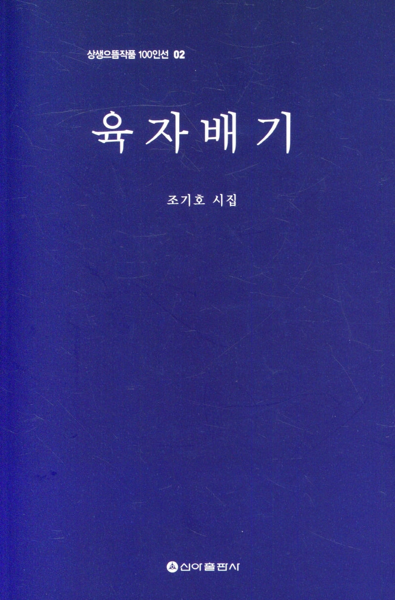육자배기(상생으뜸작품 100인선 2)