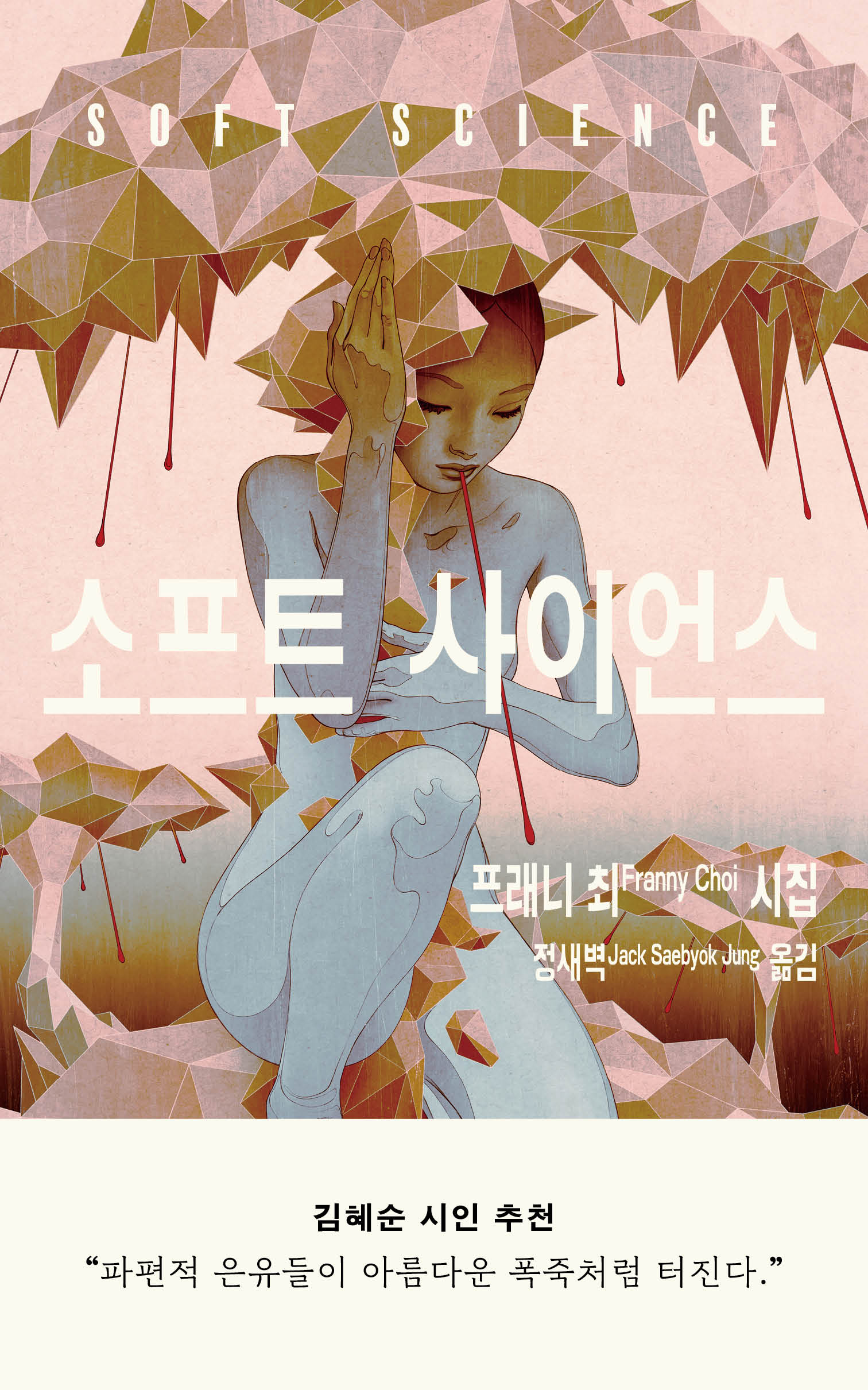 소프트 사이언스