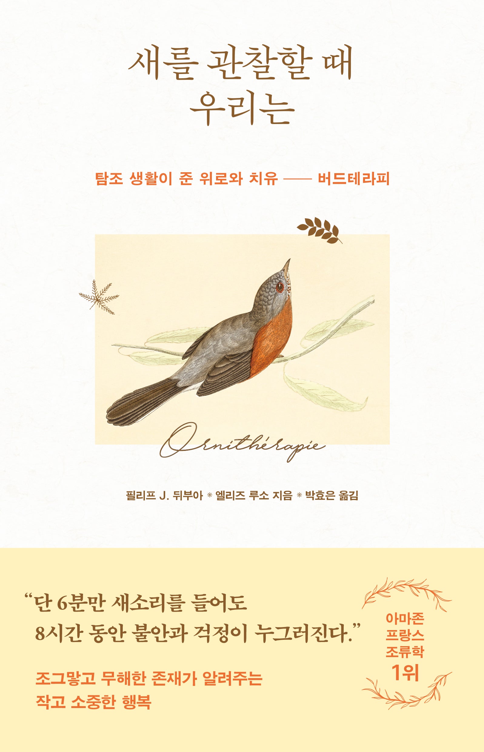새를 관찰할 때 우리는
