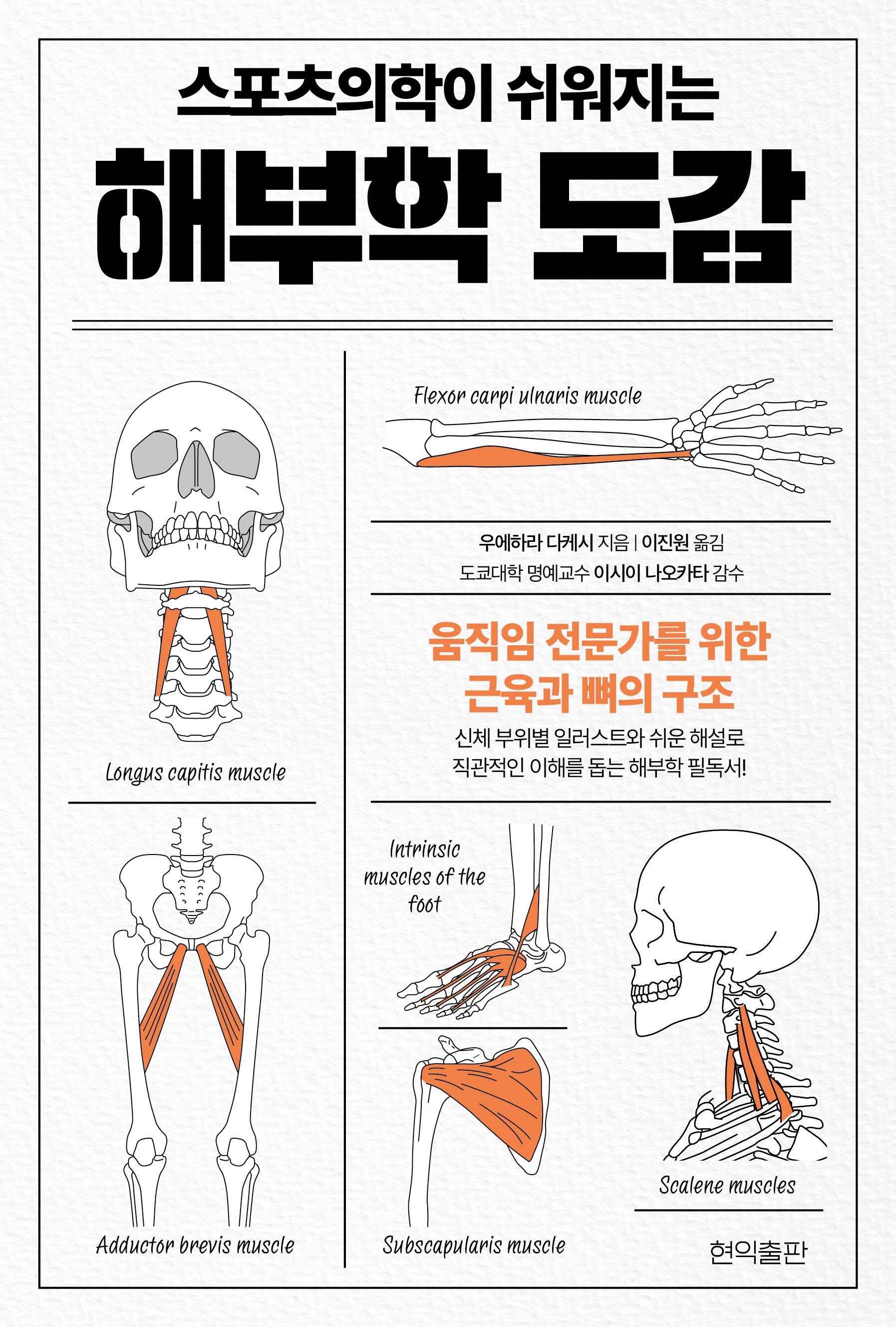 스포츠의학이 쉬워지는 해부학 도감