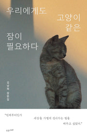 우리에게도 고양이 같은 잠이 필요하다
