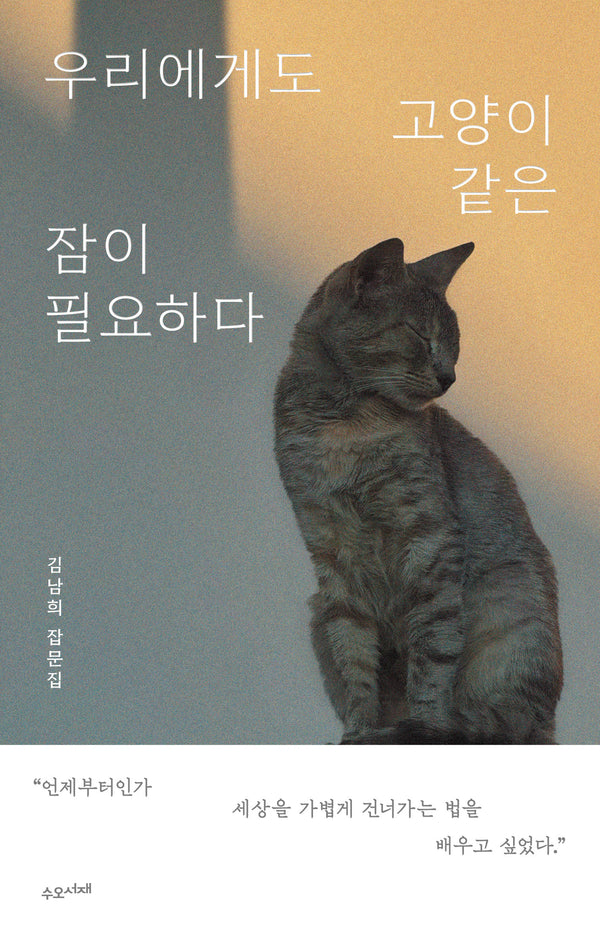 우리에게도 고양이 같은 잠이 필요하다
