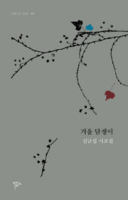 겨울 담쟁이(시조 21 시선 61)