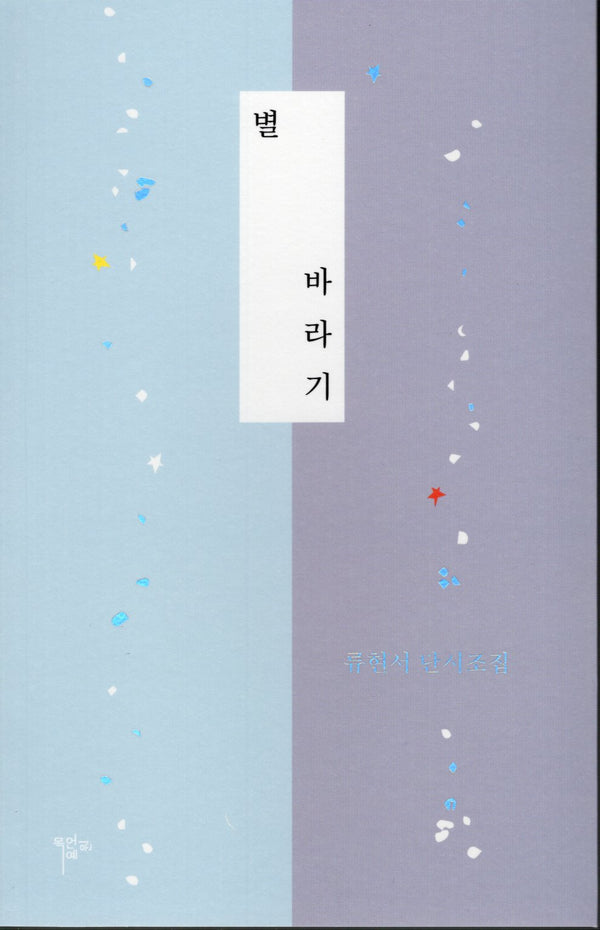 별 바라기