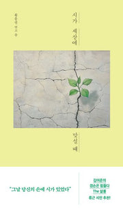 시가 세상에 맞설 때(반양장)