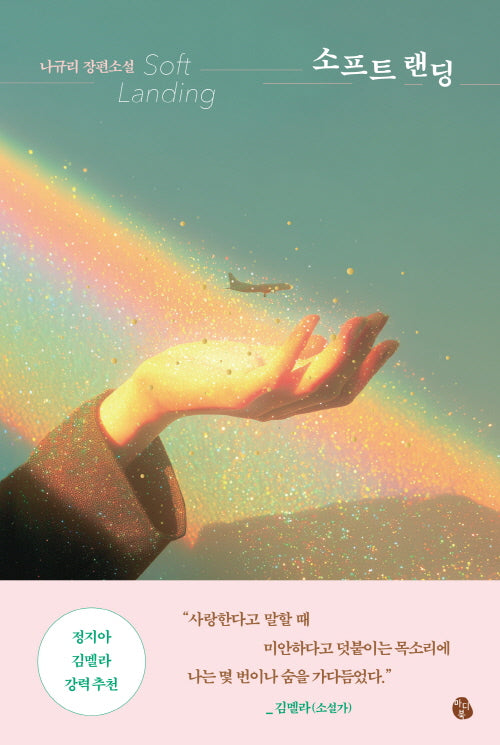 소프트 랜딩