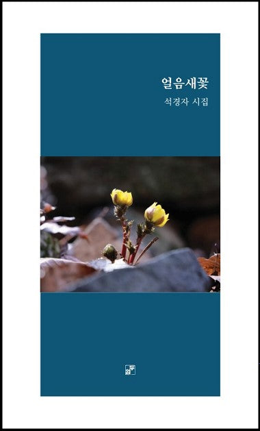 얼음새꽃