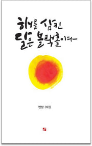 해를 삼킨 달은 블랙홀이다