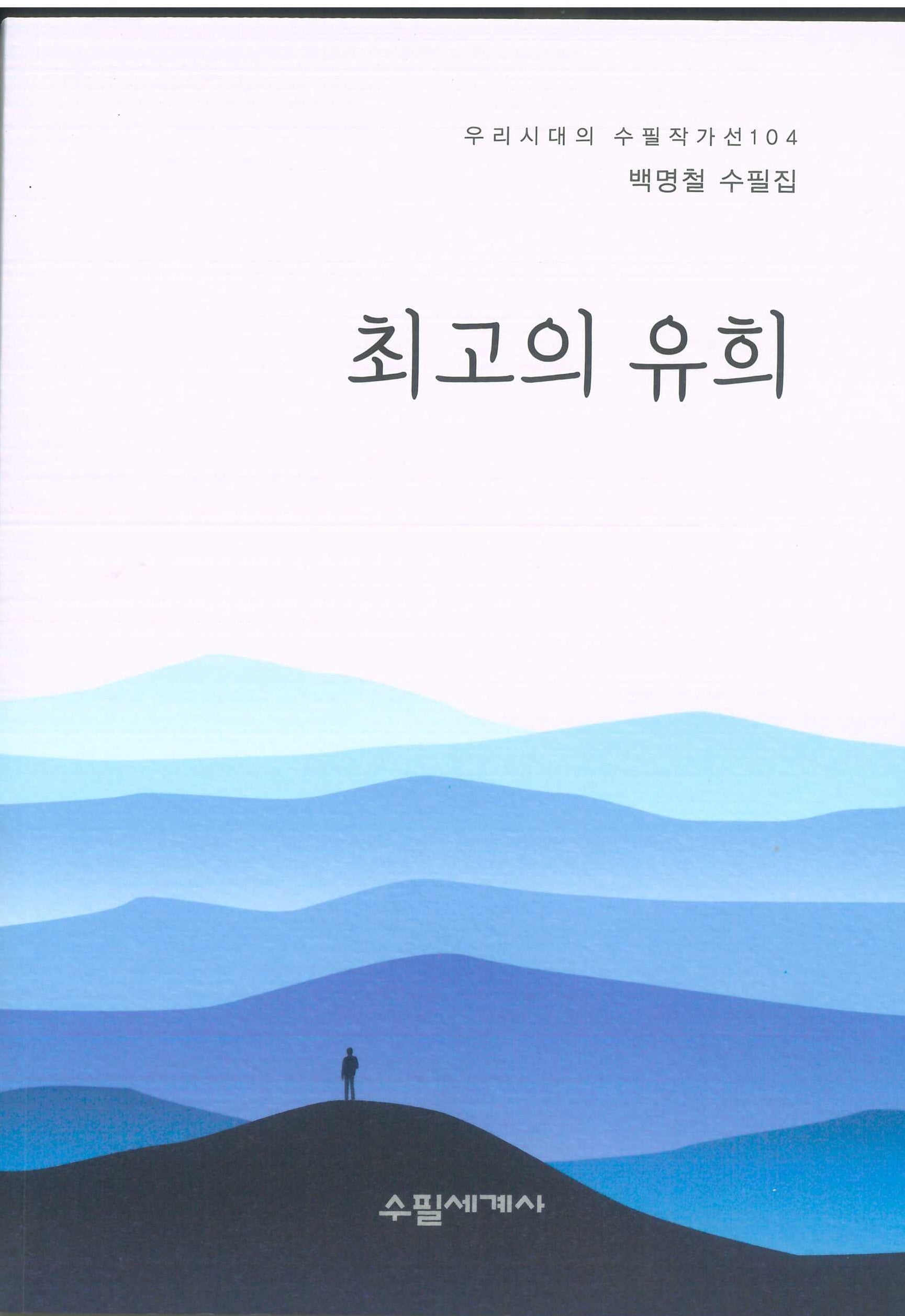 최고의 유희(우리시대의 수필작가선 104)