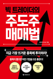 빅 트레이더의 주도주 매매법