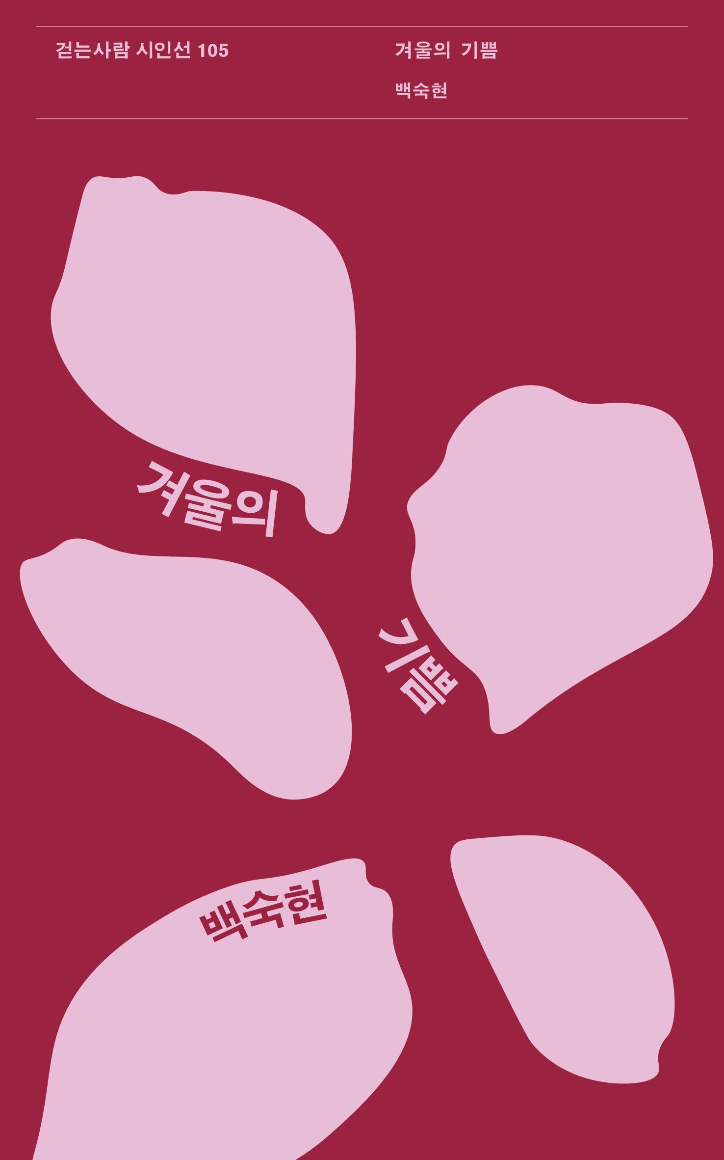 겨울의 기쁨(걷는사람 시인선 105)
