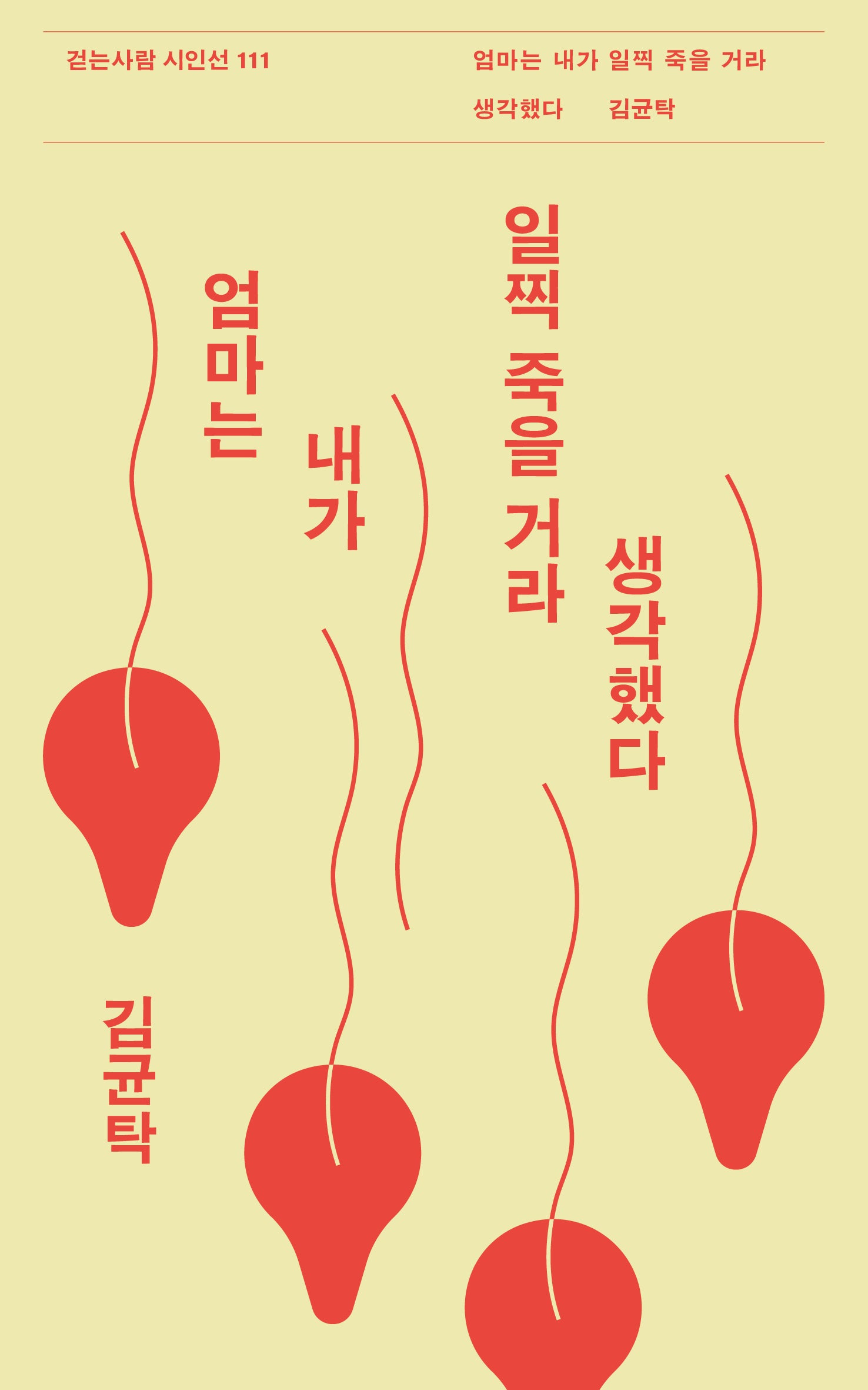 엄마는 내가 일찍 죽을 거라 생각했다(걷는사람 시인선 111)