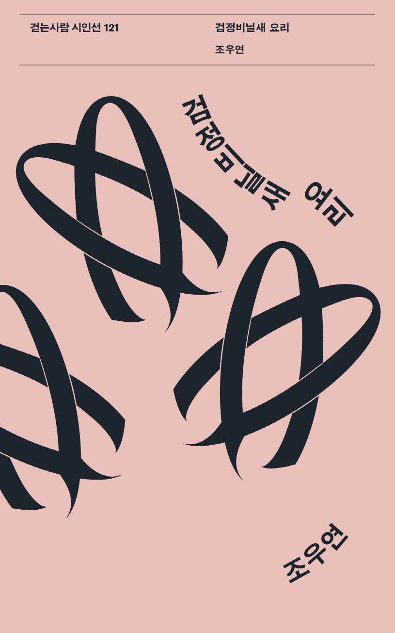 검정비닐새 요리(걷는사람 시인선 121)