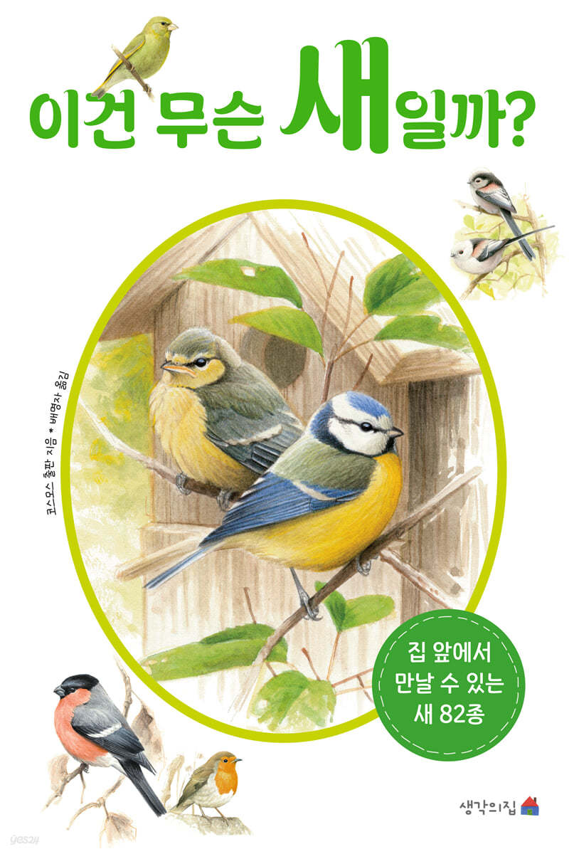 이건 무슨 새일까?
