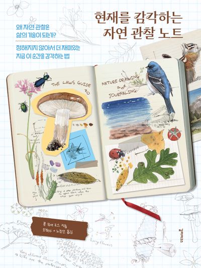 현재를 감각하는 자연 관찰 노트