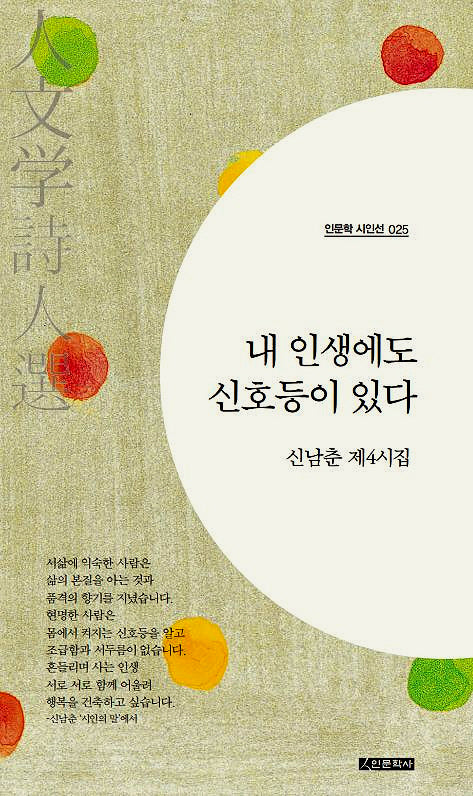 내 인생에도 신호등이 있다(인문학 시인선 25)