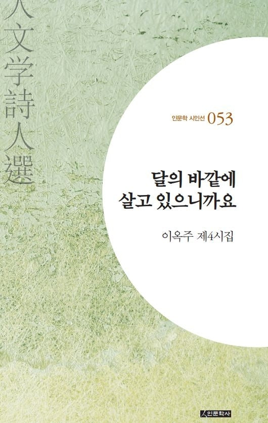 달의 바깥에 살고 있으니까요(인문학 시인선 53)