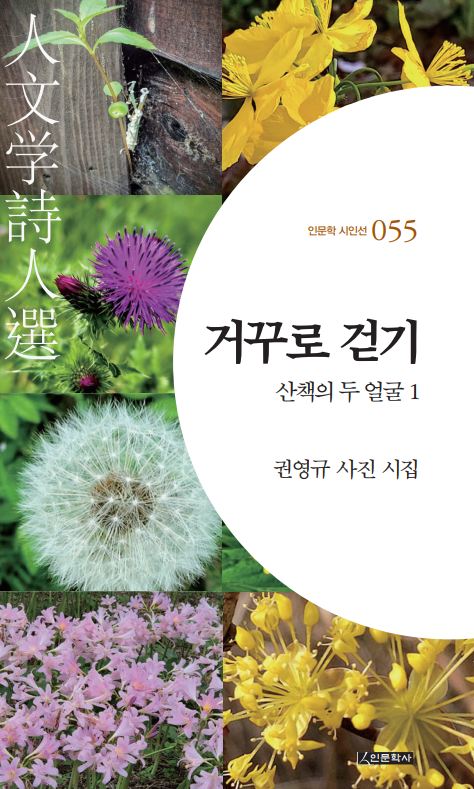 거꾸로 걷기(인문학 시인선 55)