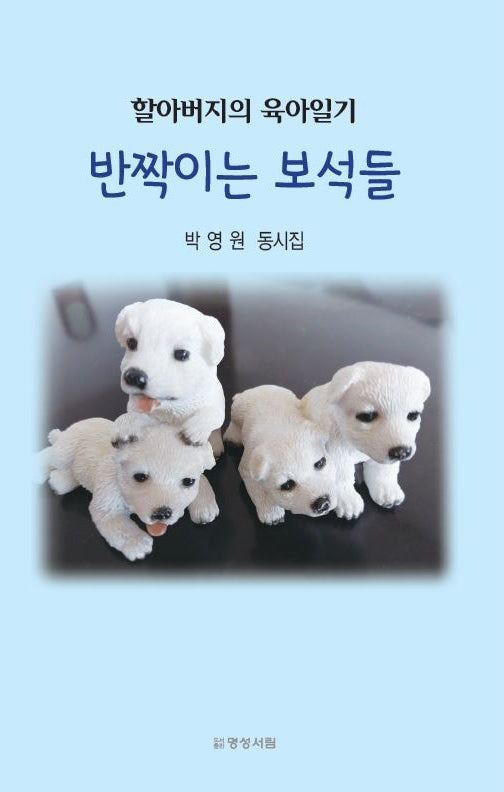 반짝이는 보석들