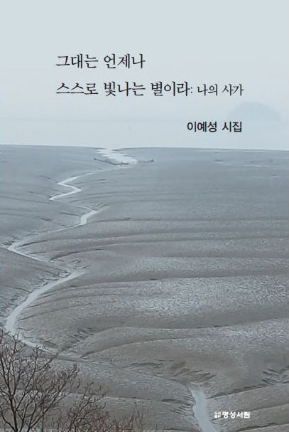 그대는 언제나 스스로 빛나는 별이라: 나의 사가
