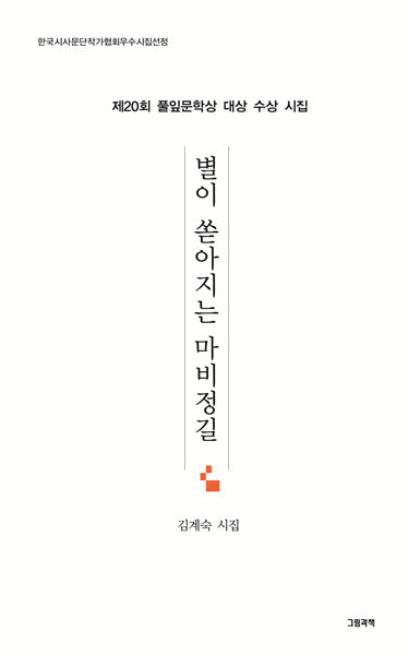 별이 쏟아지는 마비정길