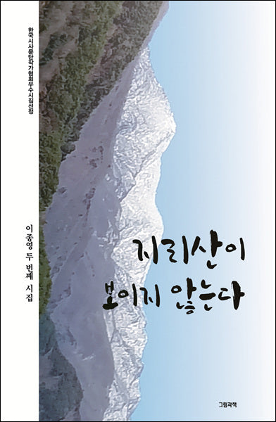 지리산이 보이지 않는다