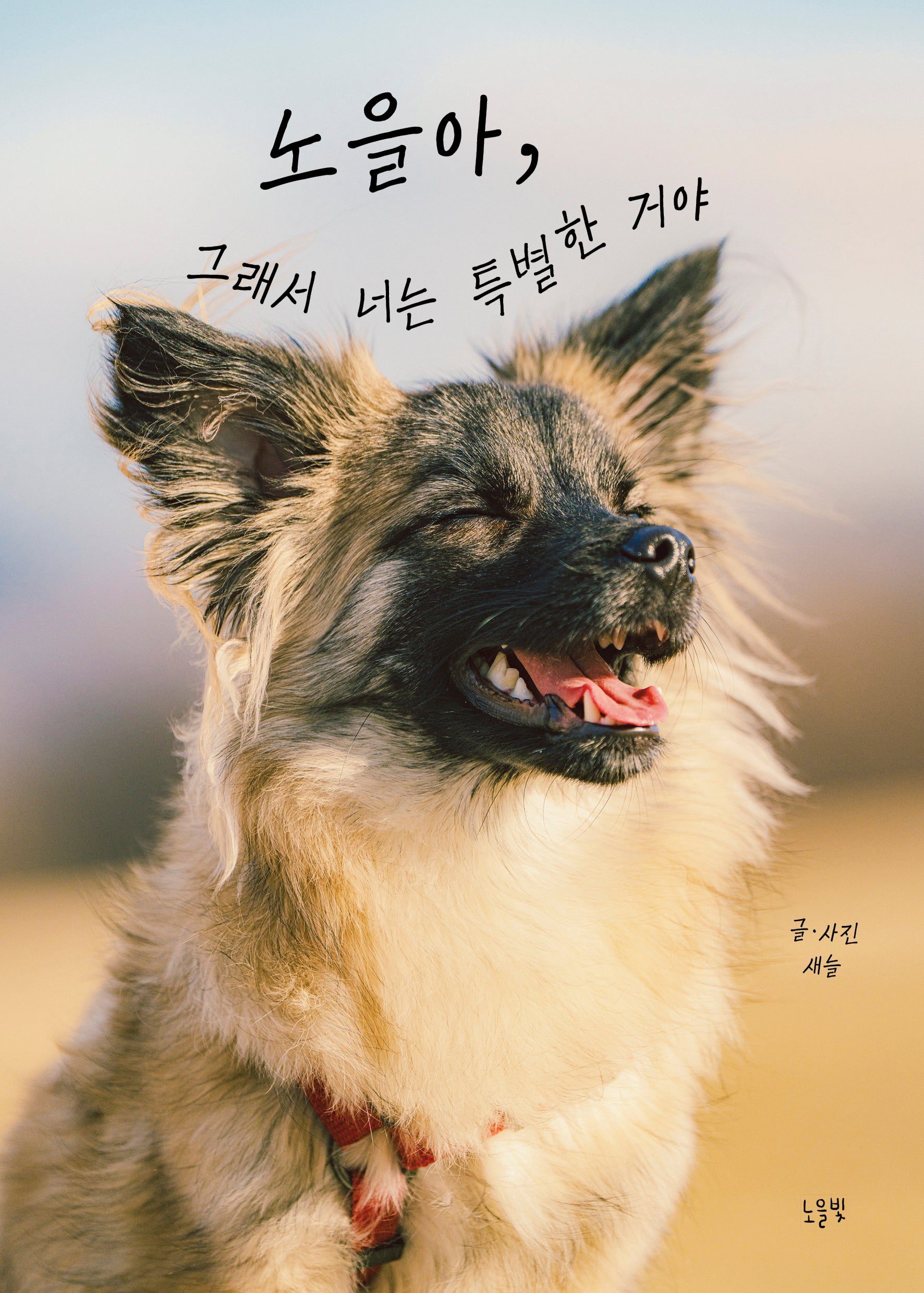 노을아, 그래서 너는 특별한 거야