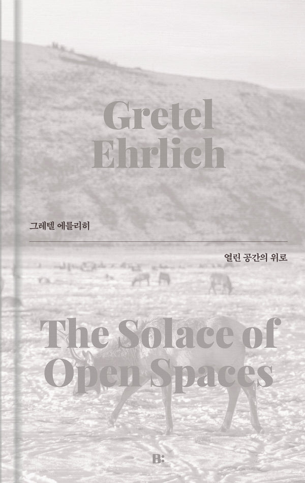 열린 공간의 위로(세리프)