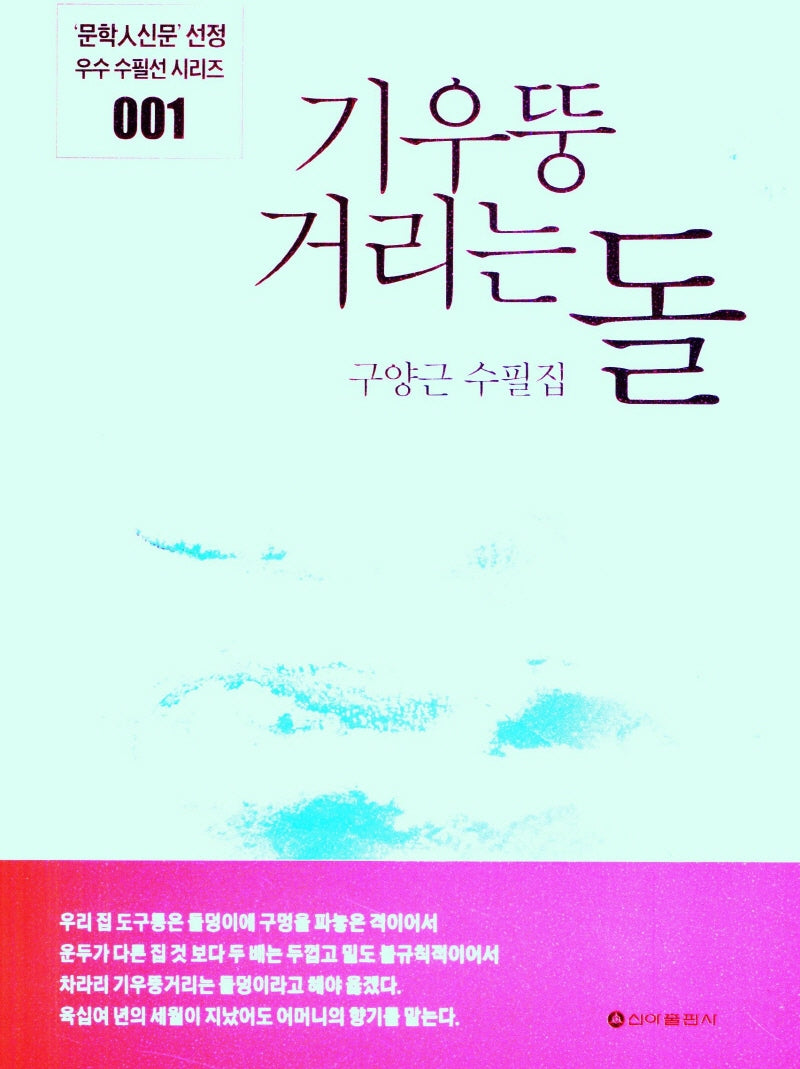 기우뚱 거리는 돌(문학人신문 선정 우수 수필선 시리즈 1)
