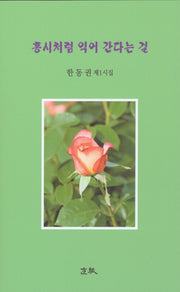 홍시처럼 익어 간다는 걸