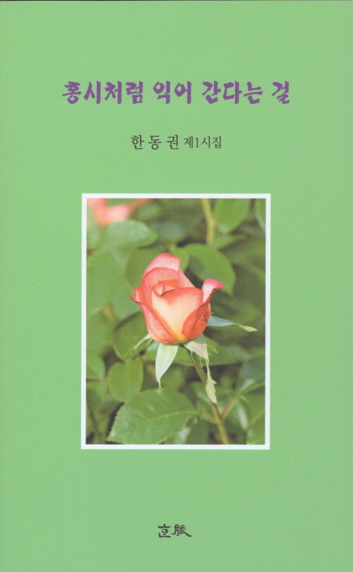 홍시처럼 익어 간다는 걸
