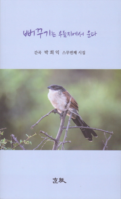 뻐꾸기는 우듬지에서 운다