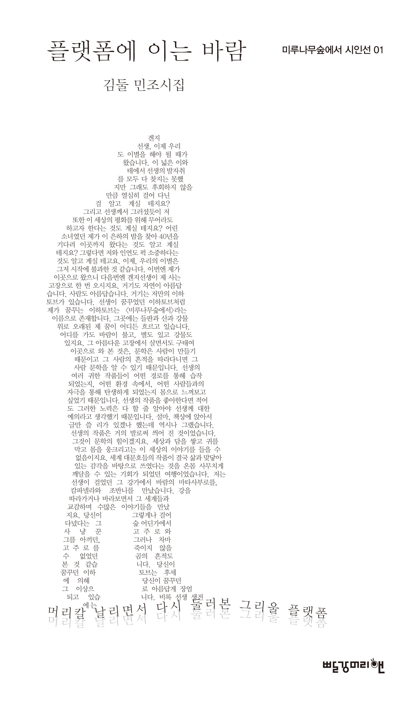 플랫폼에 이는 바람(미루나무숲에서 시인선 1)