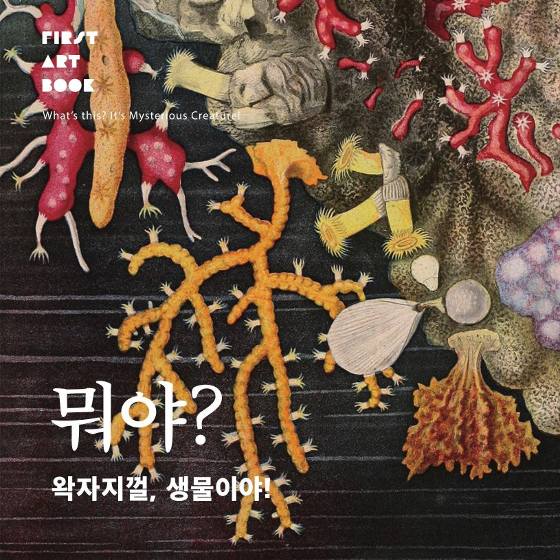 뭐야? 왁자지껄, 생물이야!(First Art Book)