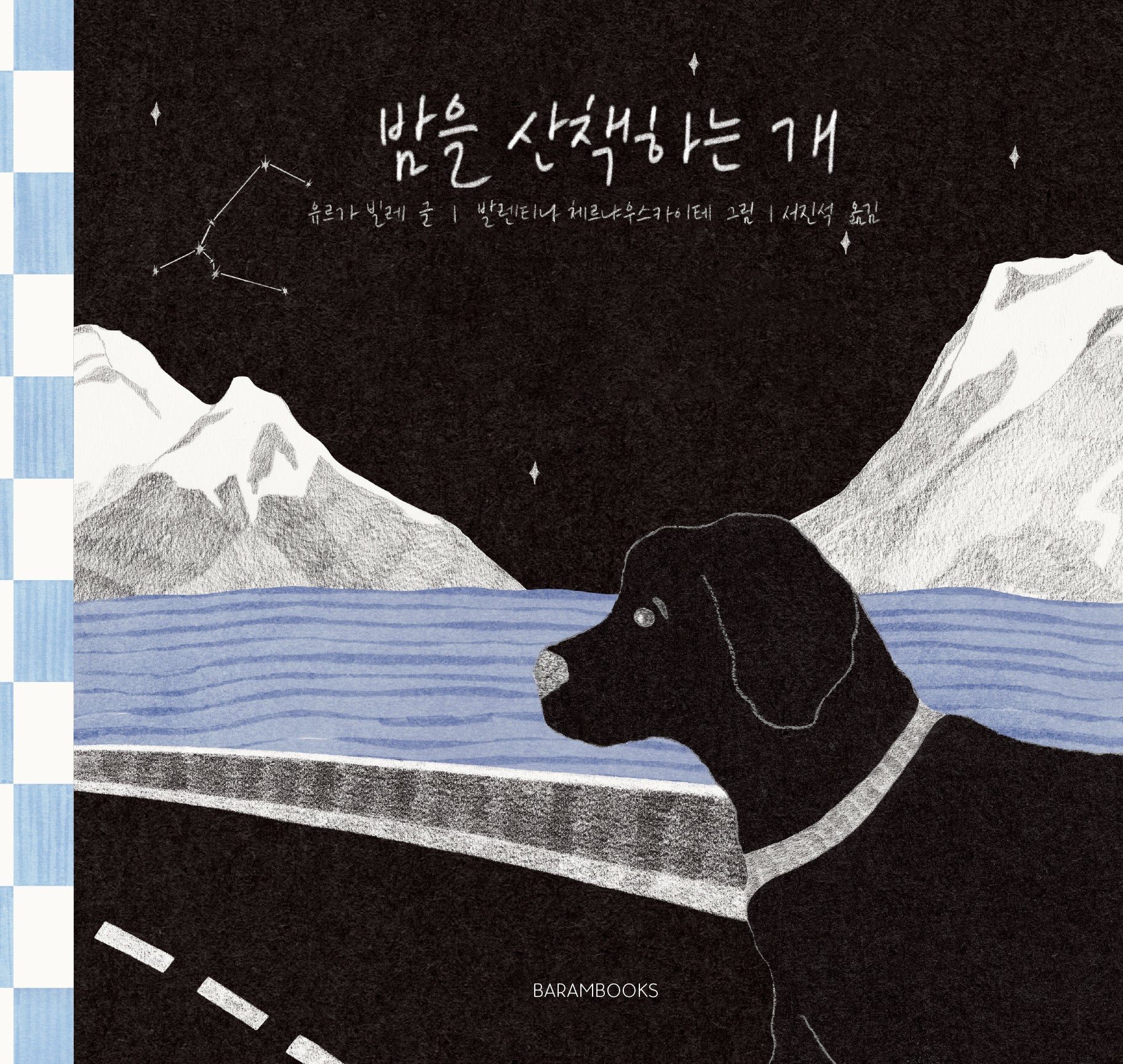 밤을 산책하는 개(양장본 Hardcover)