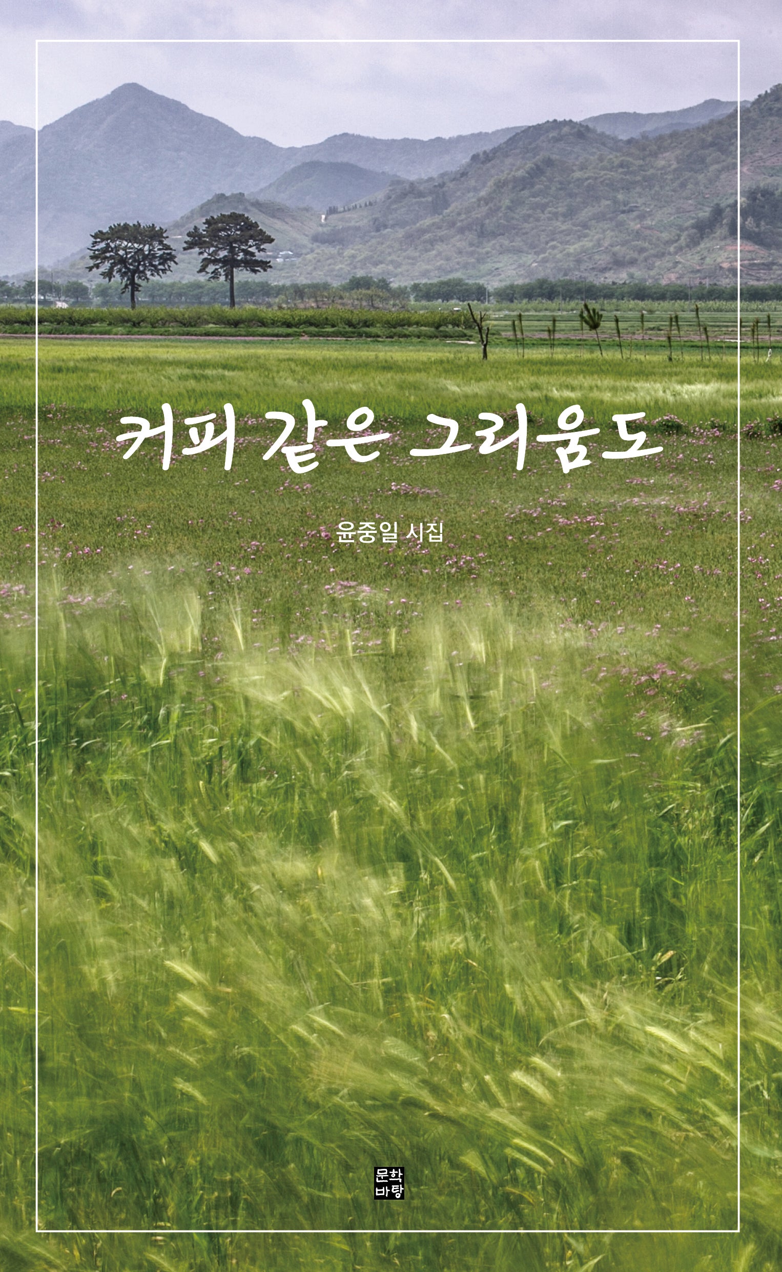 커피 같은 그리움도