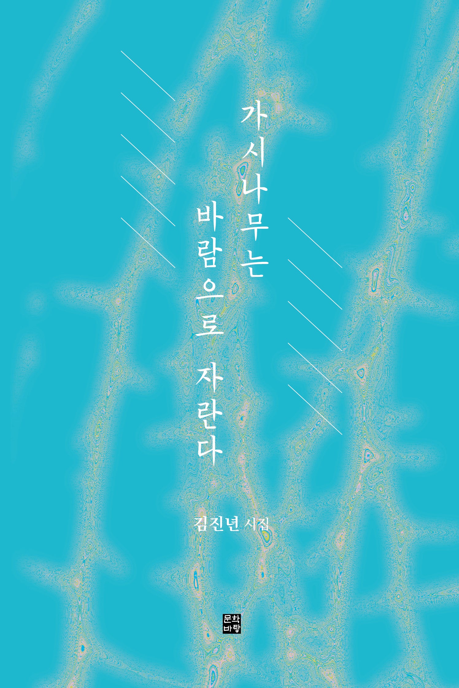 가시나무는 바람으로 자란다