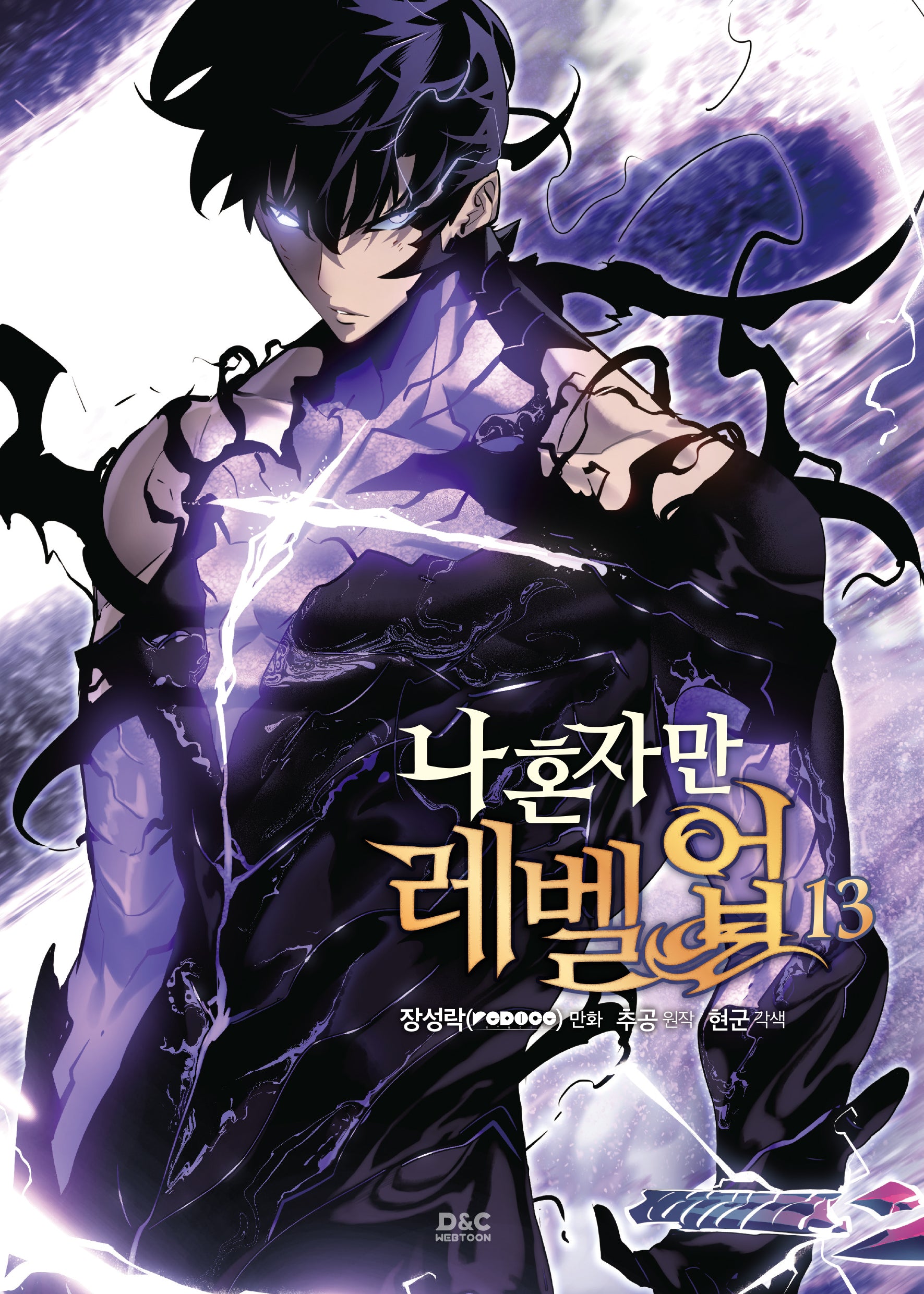 나 혼자만 레벨업 13(만화)