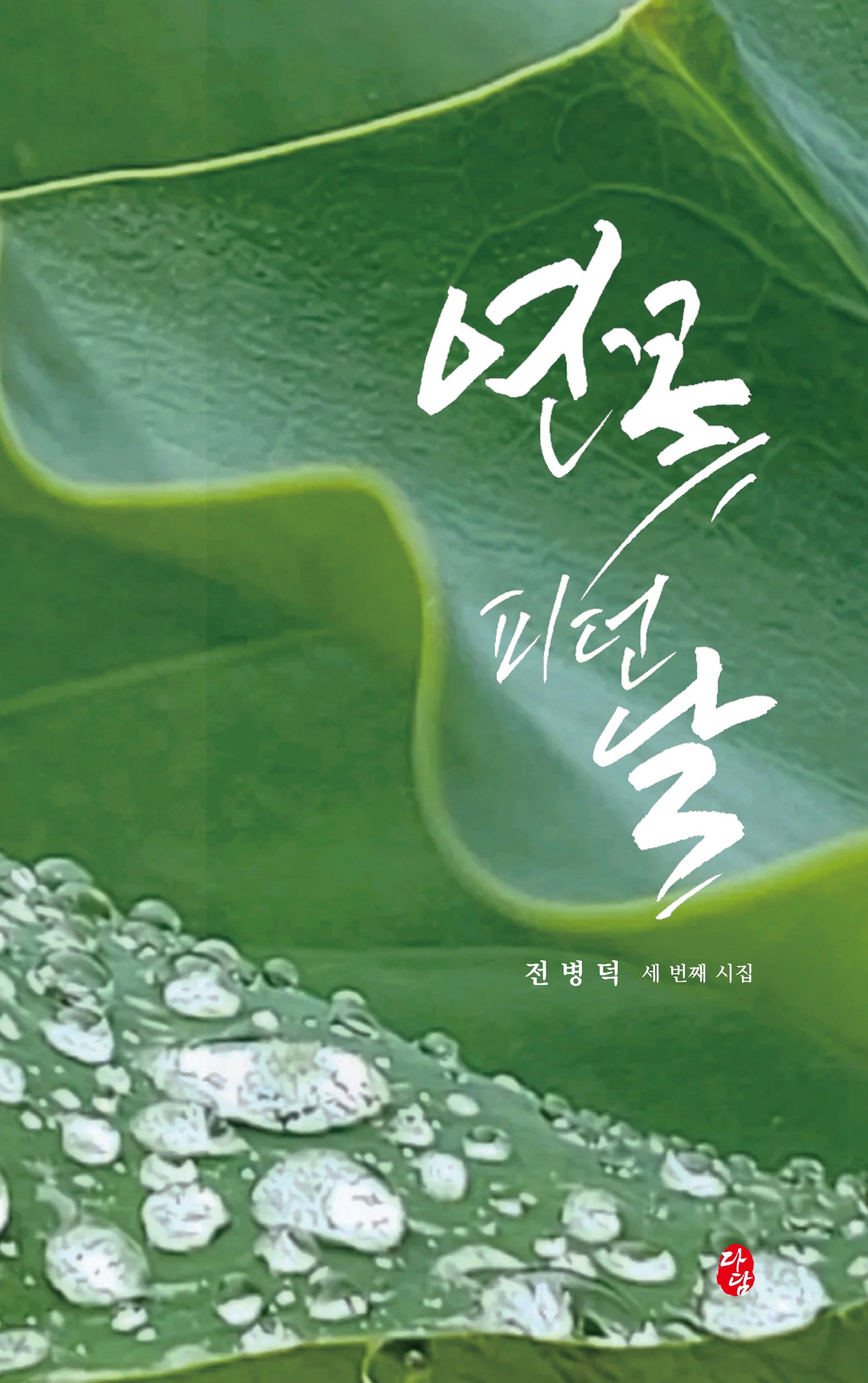 연꽃 피던 날