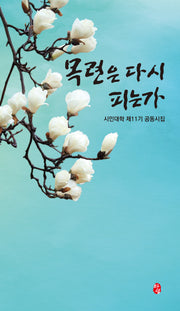 목련은 다시 피는가