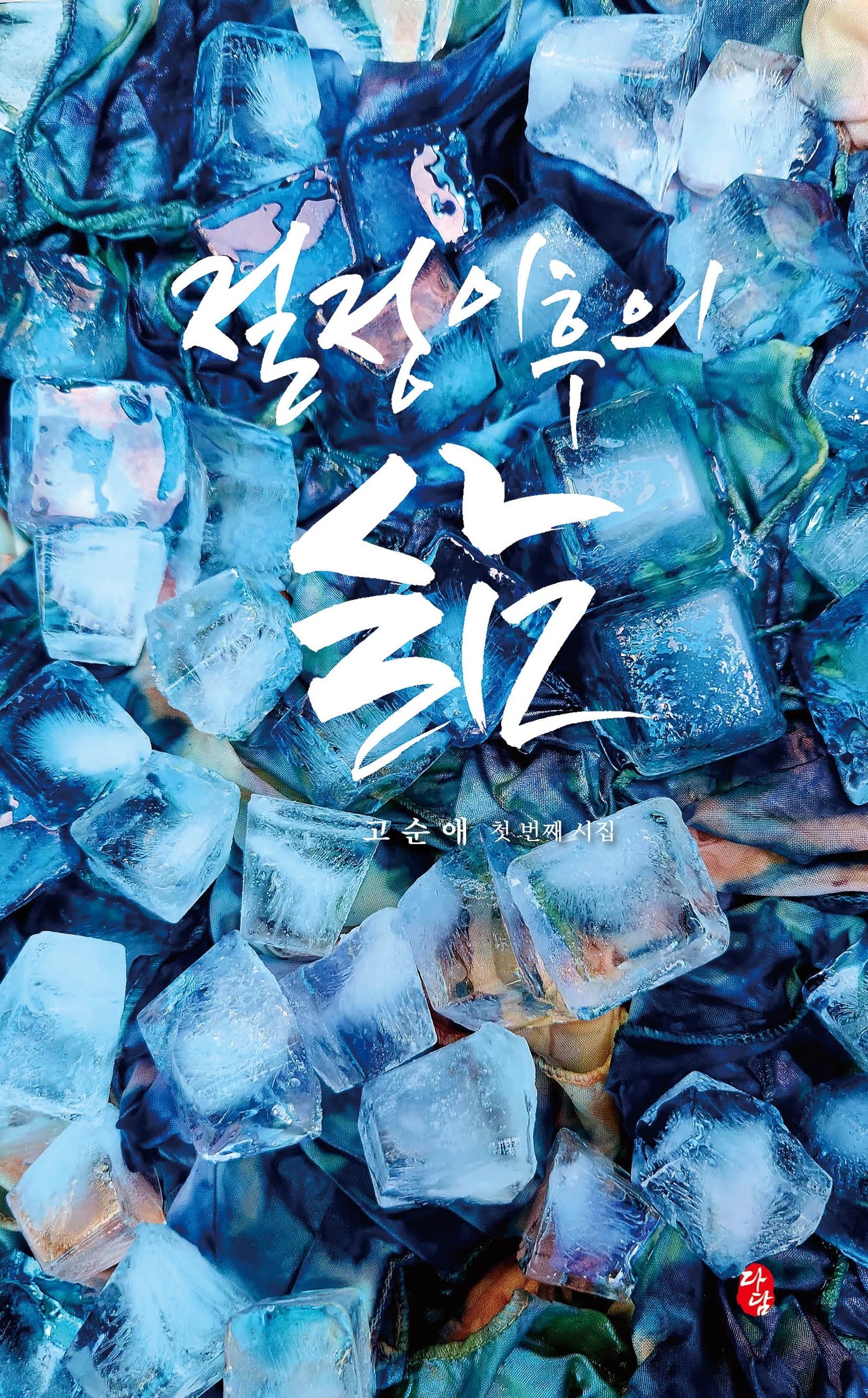절정 이후의 삶
