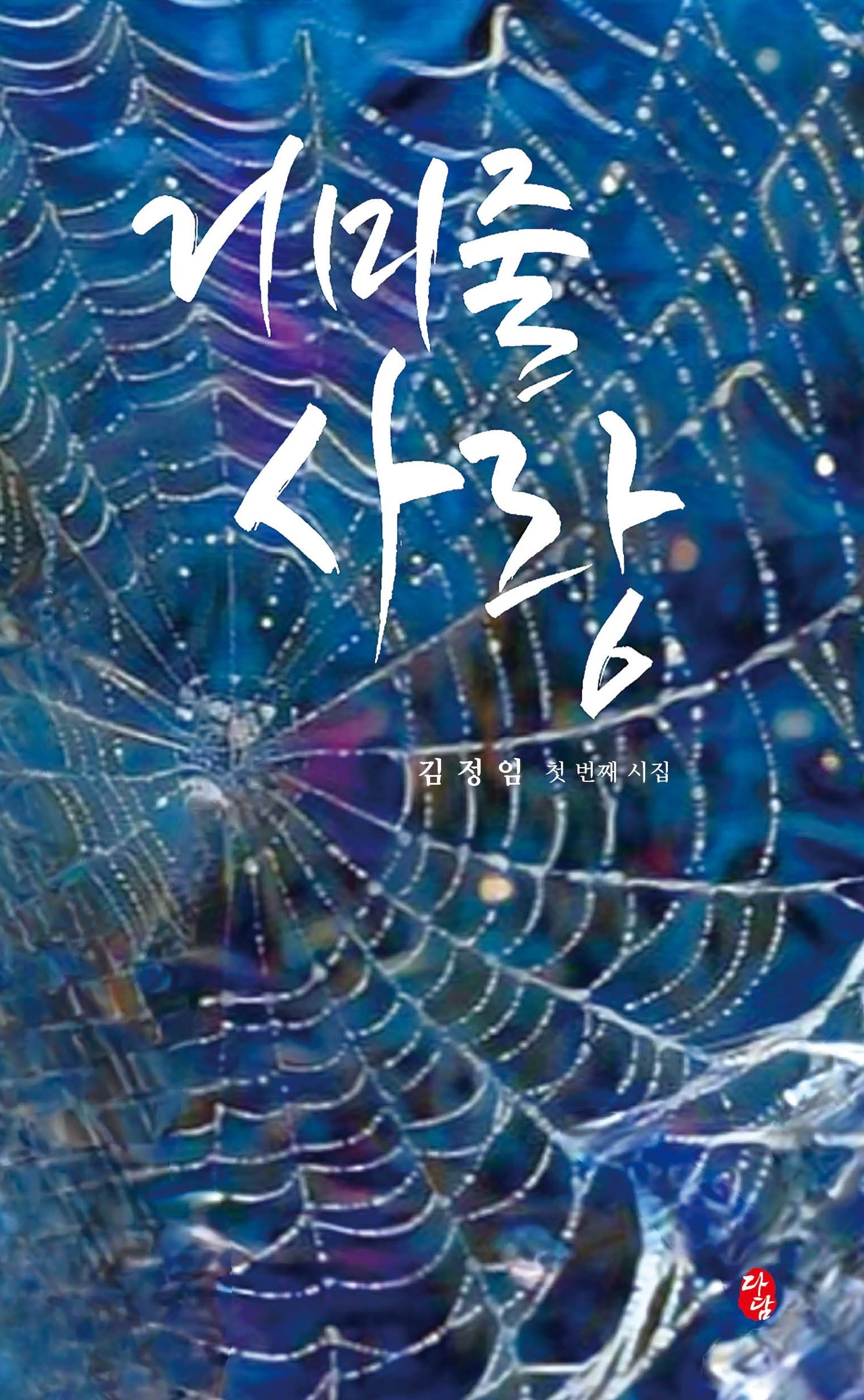 거미줄 사랑
